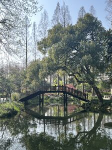 a bridge in a parc in Hangzhou China