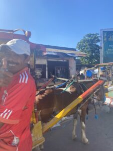 Visite des fermes et villages Guadeloupéens