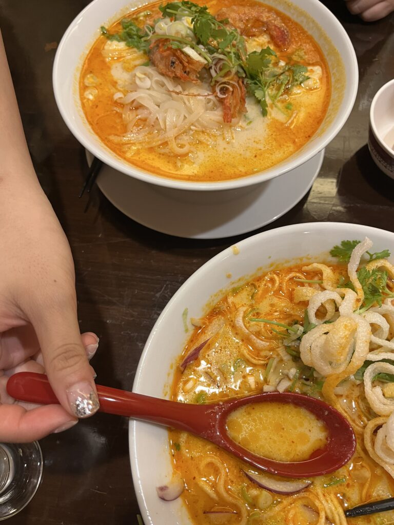 Two bowls of Udon soup