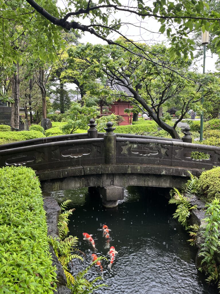 a bridge over a pond with koi fish, in Tokyo Japan