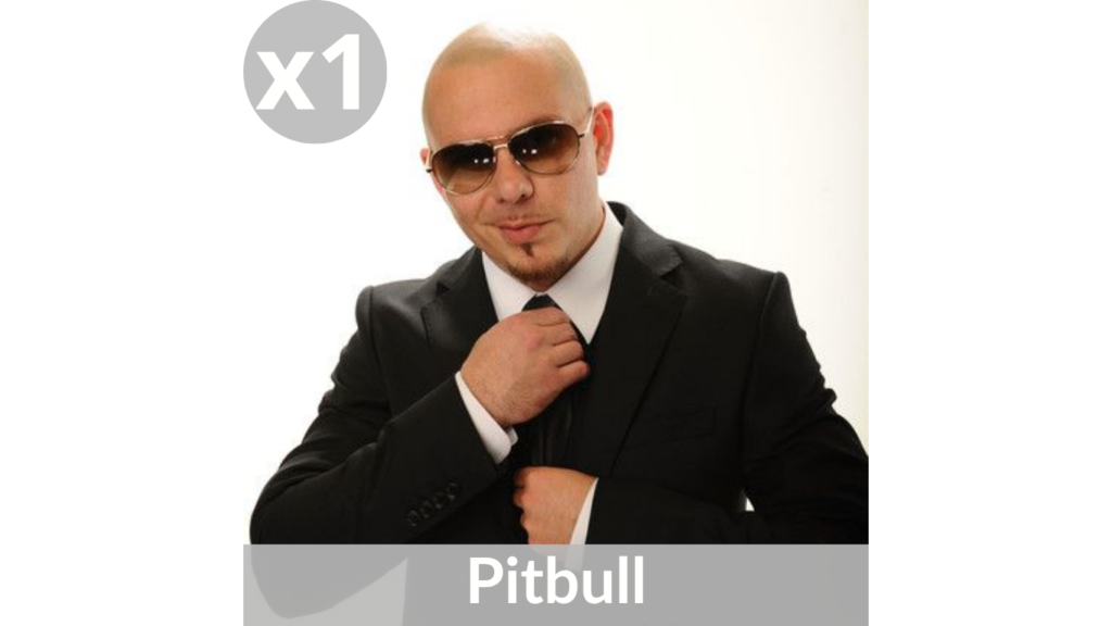 pitbull