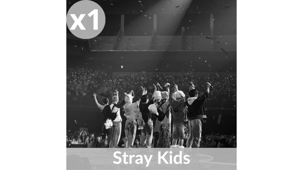 stray kids