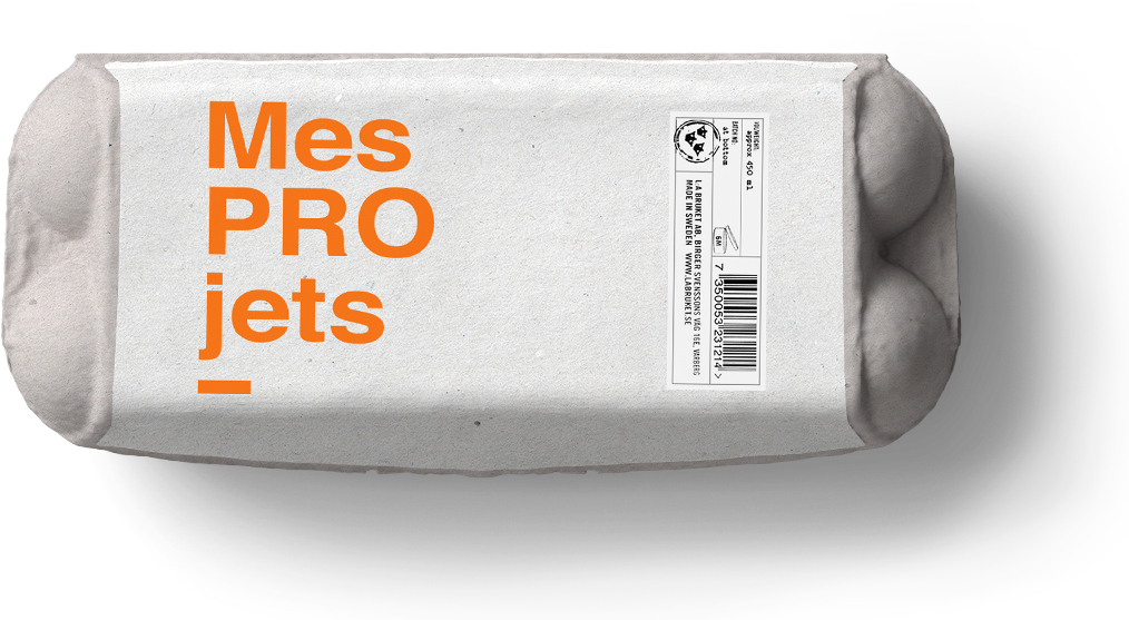 image d'une boîte d'oeufs avec sur l'étiquette le texte "Mes projets"
